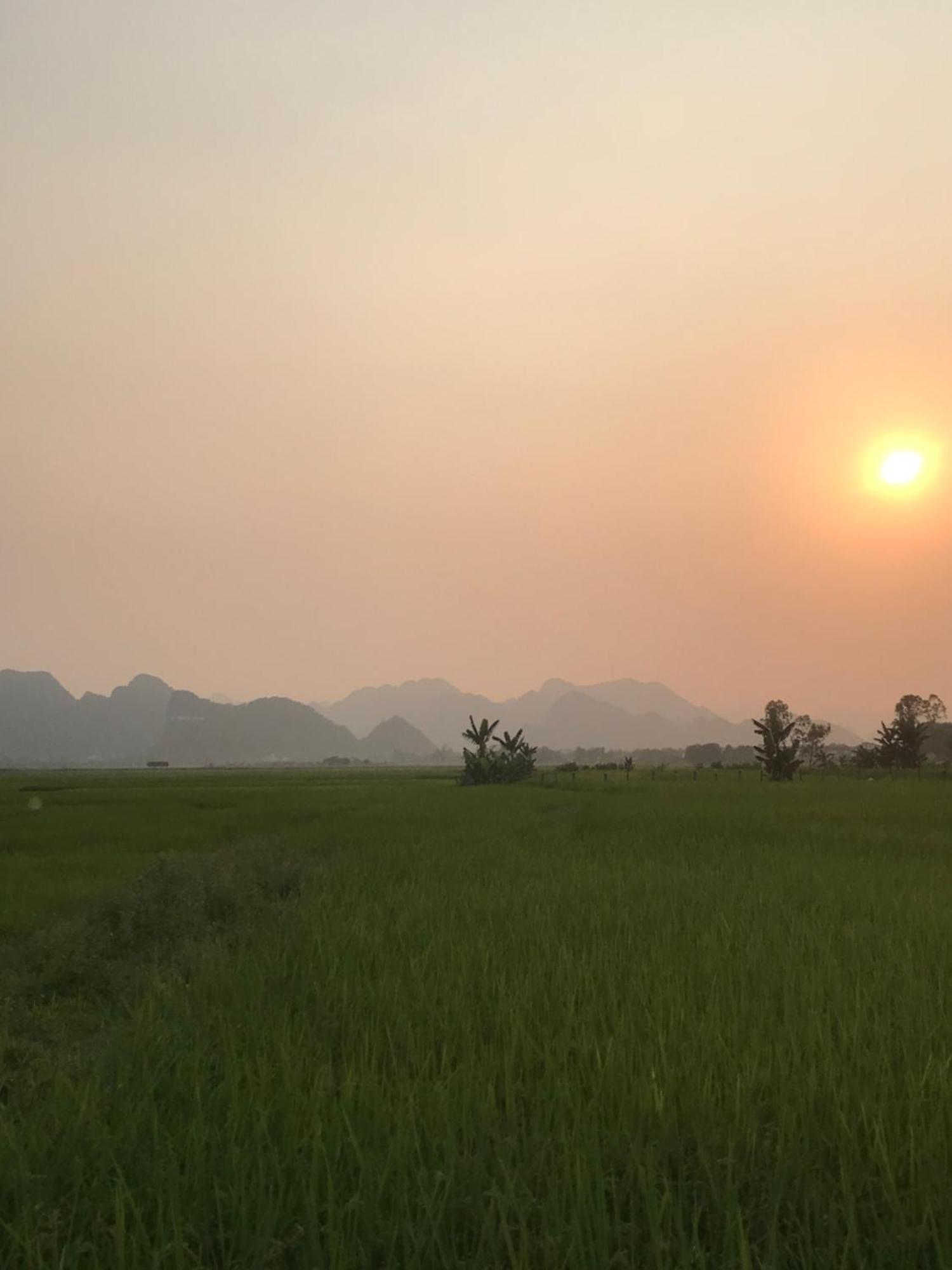 Happy Field Homestay Phong Nha Kültér fotó