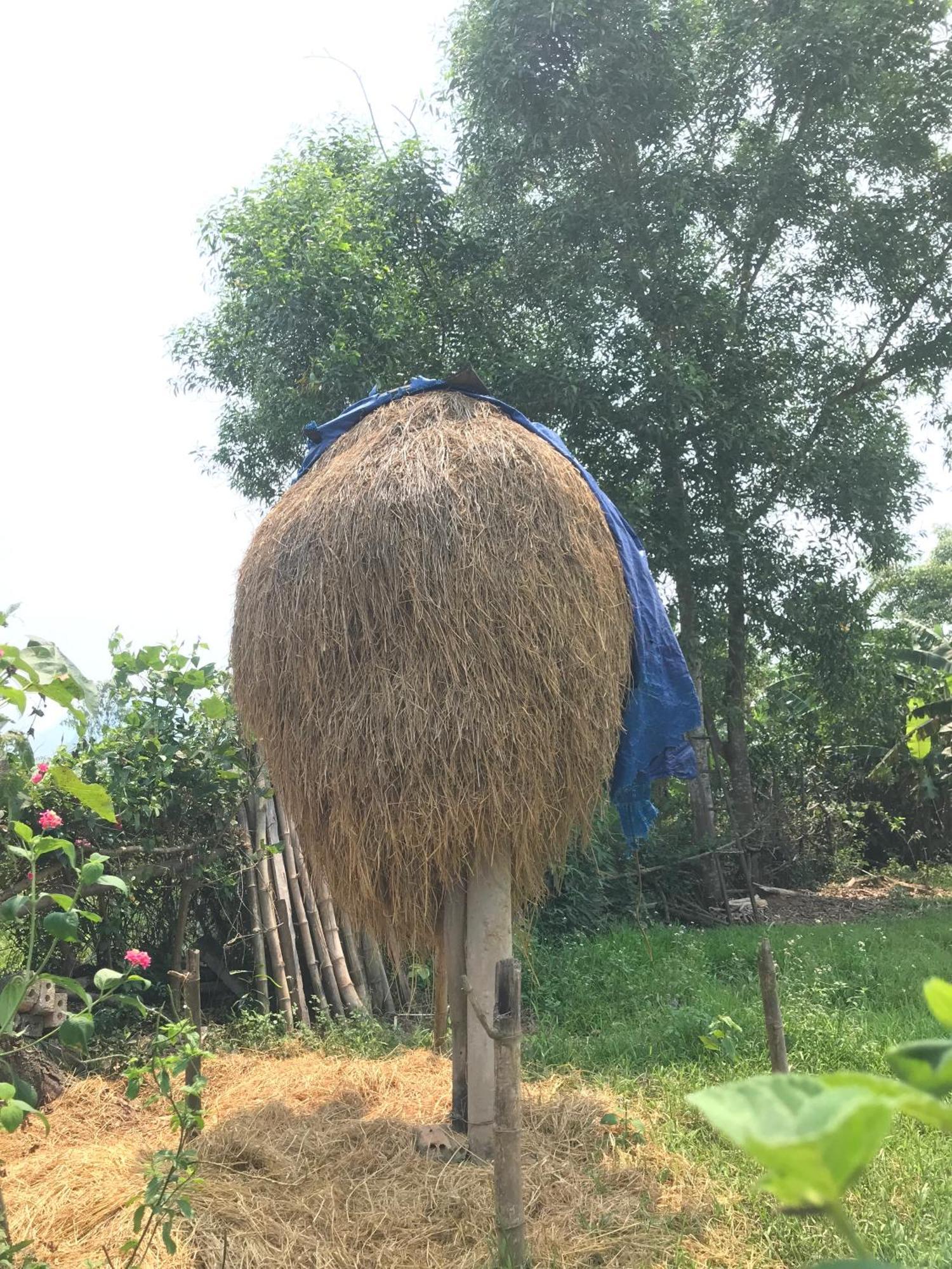 Happy Field Homestay Phong Nha Kültér fotó